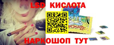 гидропоника Сланцы